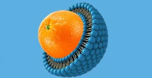 تقنية الليبوزوم